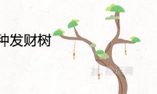 家里为什么不能种发财树 风水寓意不好吗