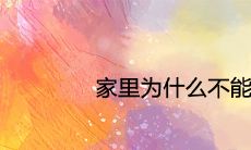 家里为什么不能养佛手