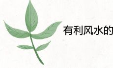 有利风水的爬藤植物旺宅镇宅推荐