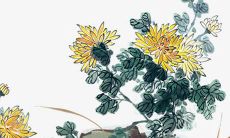 2022年5月19日五行属性查询 每日五行穿衣搭配