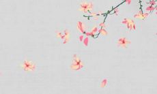 2022年5月27日五行穿衣指南 今日穿衣早知道