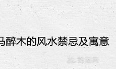 马醉木的风水禁忌及寓意