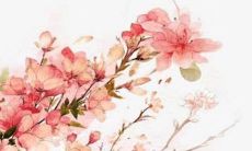 2022年5月17日五行穿衣指南 今日穿衣早知道