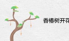 香椿树开花预示着什么风水说法