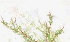 五行穿衣旺运:2022年5月16日穿衣幸运色搭配分享