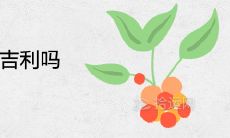 家里养九里香吉利吗 是镇宅辟邪的花卉吗