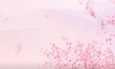 2022年5月25日五行穿衣指南 今日衣服颜色搭配查询