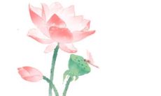 每日五行穿衣分享:2022年5月24日穿衣最佳幸运色