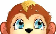 生肖猴命中注定最好的婚配是谁