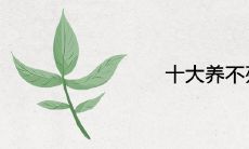 十大养不死的花 旺宅好养的风水植物