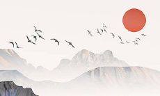 2022年5月13日穿什么颜色衣服好 五行穿衣最佳色