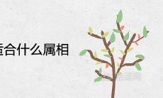 六道木不适合什么属相 代表着什么风水寓意