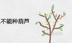 家里为什么不能种葫芦 有什么风水讲究