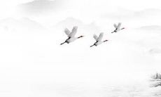 穿衣色彩攻略:2022年4月28日五行穿衣属性查询