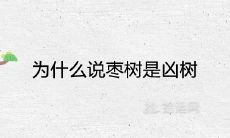 为什么说枣树是凶树 家里不能种枣树吗