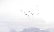 2022年4月27日五行穿衣指南 今日穿衣早知道