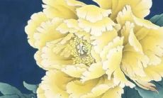 2022年4月25日五行穿衣指南 今日衣服颜色搭配查询