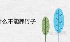 家里为什么不能养竹子 有哪些风水说法