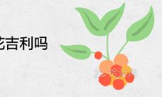 院子里种凌霄花吉利吗 有哪些风水说法