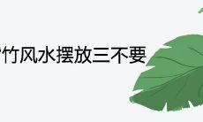 龟背竹风水摆放三不要是什么意思