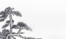 2022年4月30日五行穿衣分享 最佳幸运色查询