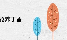 家里为啥不能养丁香 在风水中有哪些作用