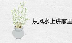 从风水上讲家里放兰花好吗 可以招财镇宅吗