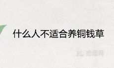 什么人不适合养铜钱草 有哪些忌讳讲究