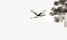 2022年5月9日五行属性查询 每日五行穿衣搭配