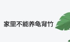 为什么家里不能养龟背竹 风水寓意不好吗