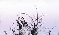 2022年5月5日立夏五行穿衣指南 今日衣服颜色搭配查询