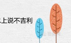 榉木为什么风水上说不吉利 象征意义有哪些