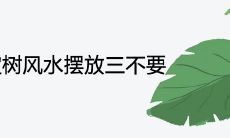 橡皮树风水摆放三不要是什么意思