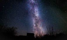 生肖属猴的人都很厉害吗