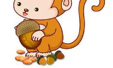 和猴子最优质的情侣组合是谁