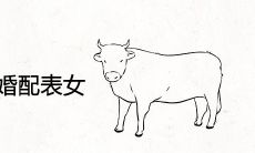 97属牛的属相婚配表女