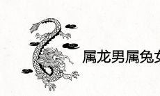 属龙男属兔女在一起谁克谁 能结婚吗