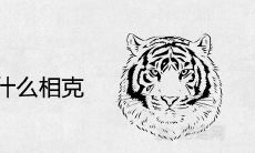 水虎之命和什么相克 婚配生肖宜忌