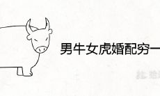 男牛女虎婚配穷一辈是真的吗 婚姻运势怎么样