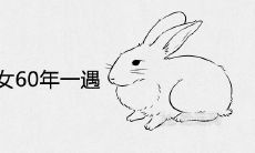 87兔男88龙女60年一遇上等婚配吗