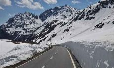 1980年9月属猴人婚姻运势好吗 属猴的属相婚配表大全