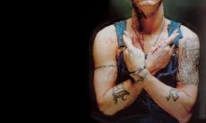 阮文启姓名评分97分