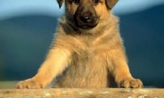 孔欣毓姓名评分74分