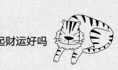 虎和兔在一起财运好吗