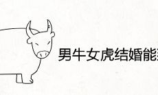 男牛女虎结婚能到老吗