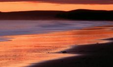 邱嘉麟姓名评分89分