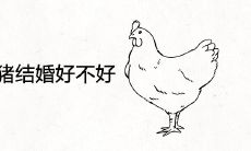 女93鸡男95猪结婚好不好