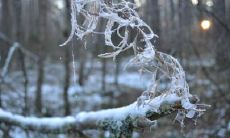 周信勇姓名评分85分