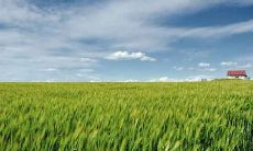 属猴2021年运势及运程分析