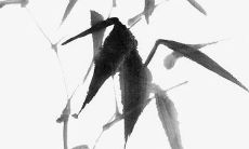 2022虎年夏天装修最吉利的日子 装潢房子佳期